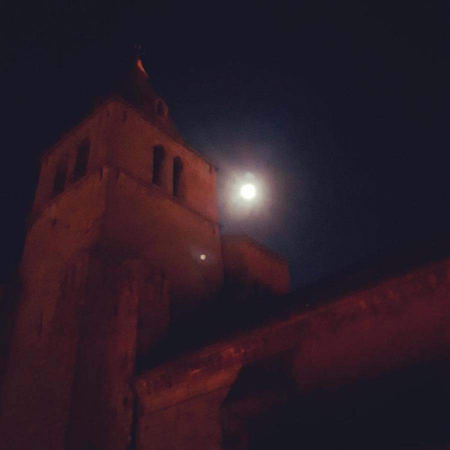 Les Mirabelles Chambres D'Hotes Sisteron Kültér fotó